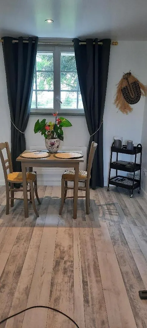 Apartmán Demeure De Charme Mazères 0*,  Francie